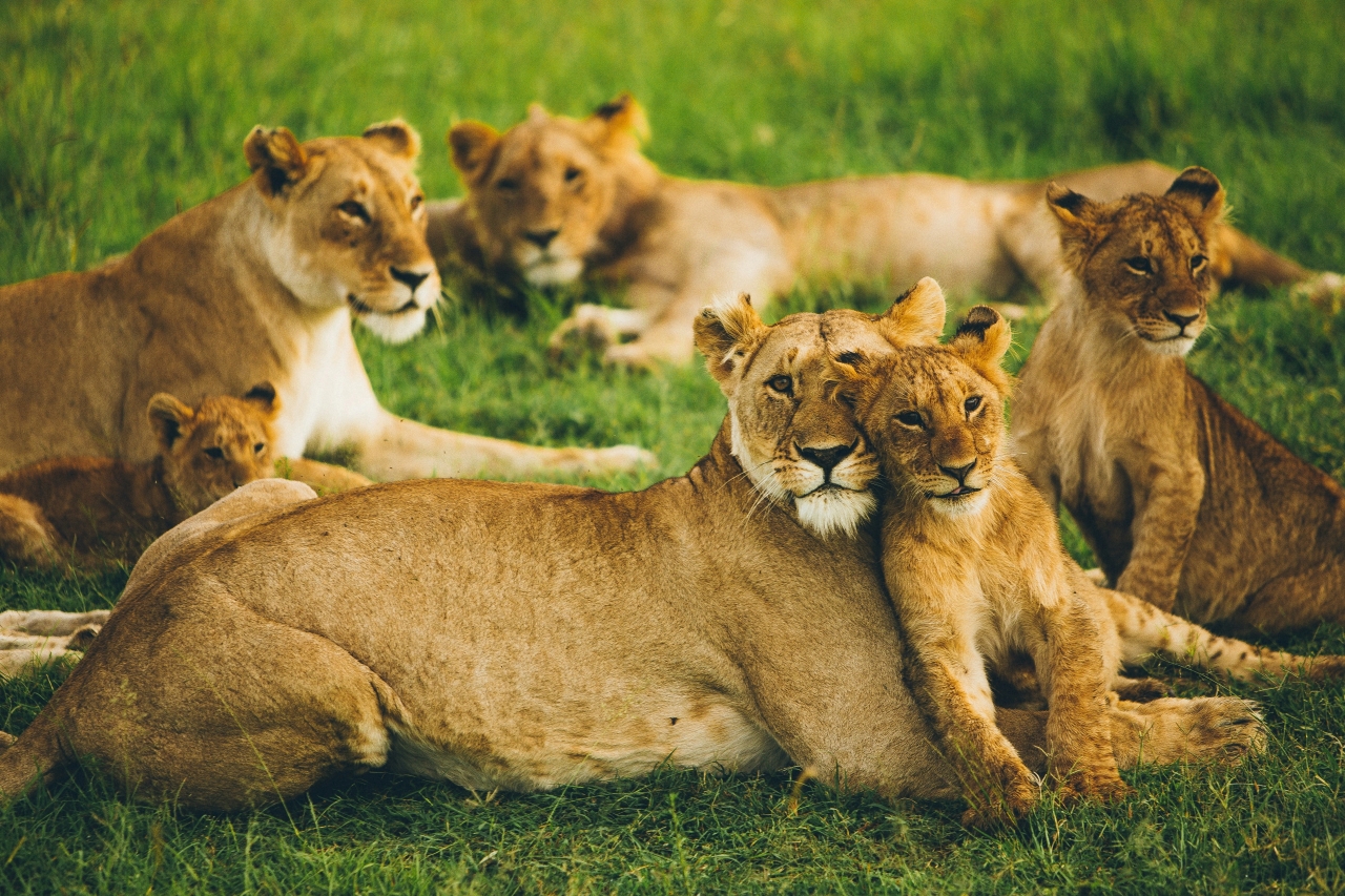 Serengeti National Park