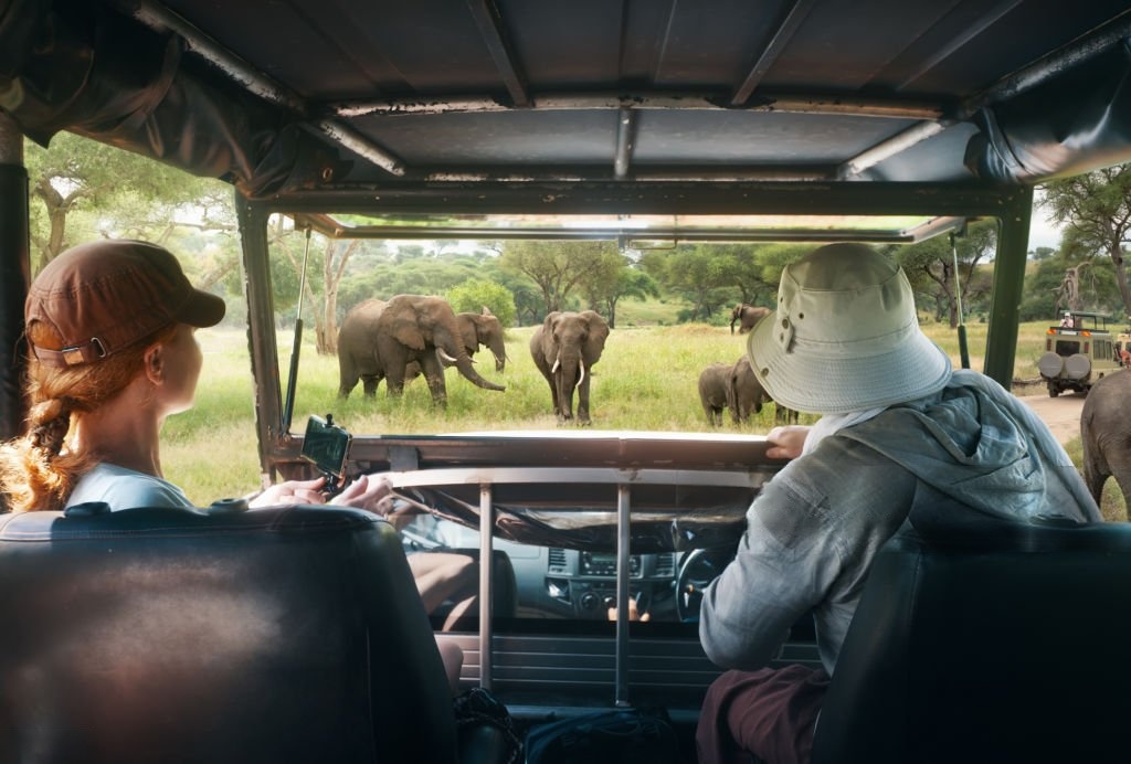 Family sharing special moments on safari
